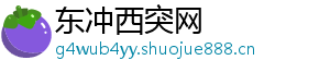 东冲西突网